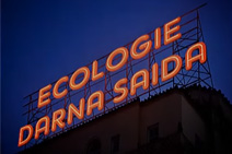 Commemoration de la journée mondiale de l'arbre à Necissa 