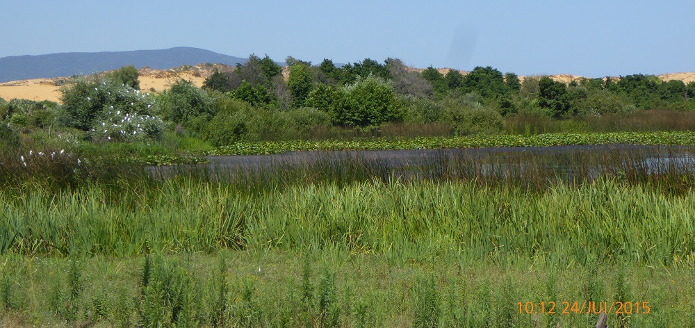 zones humides, Guerbes-Sanhadja, site RAMSAR, Skikda, PNUD, DGF, WWF, gestion durable, préservation, ecotourisme, education environnementale, CESP, Apiculture,  associations