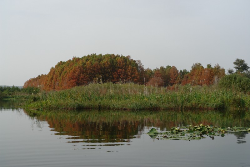 Parc National El Kala