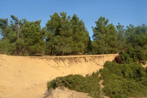 Dune Tonga