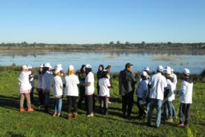 Wetlands are Nature's Shock Absorbers