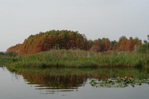 Lac Tonga 2