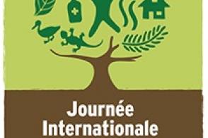 Célébration de la journée internationale de la Forêt