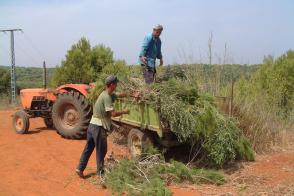 Travaux Sylvicoles