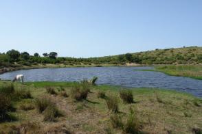 Tourbiere lac noir