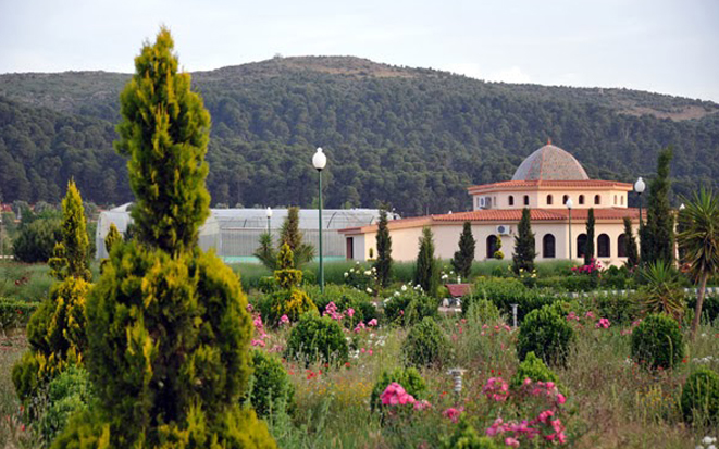 Parc National de Tlemcen